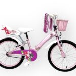 Bicicleta rodado 20 full de nena